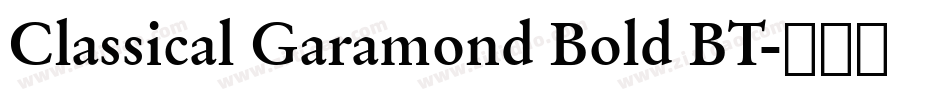 Classical Garamond Bold BT字体转换